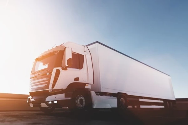 Ankara Borçka, Nakliye Firması